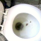 A girl with a plump ass takes a shit while sitting on a toilet. Plopping sounds and grunting are clearly heard. Poop is seen in the bowl after she wipes and stands. Video is a little sketchy because of a low frame rate in the recording. About 4.5 minutes.